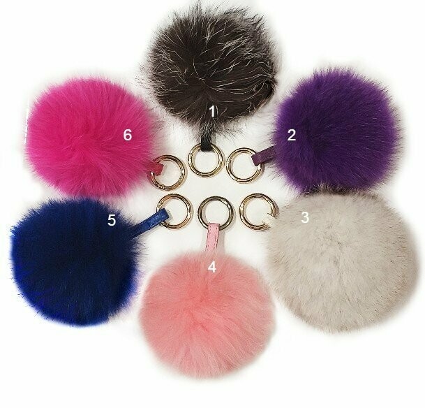 POMPON FOX