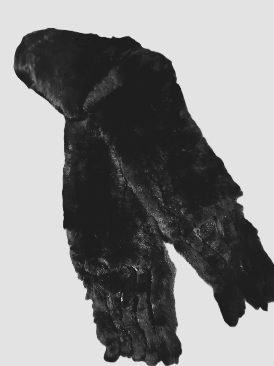 BUFANDA REX COLAS NEGRA BUFANDA REX COLAS NEGRA