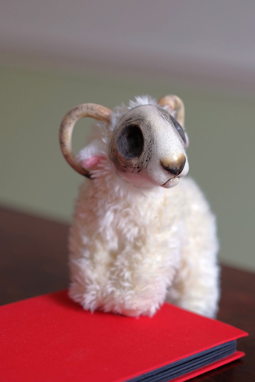 Baby Sheep