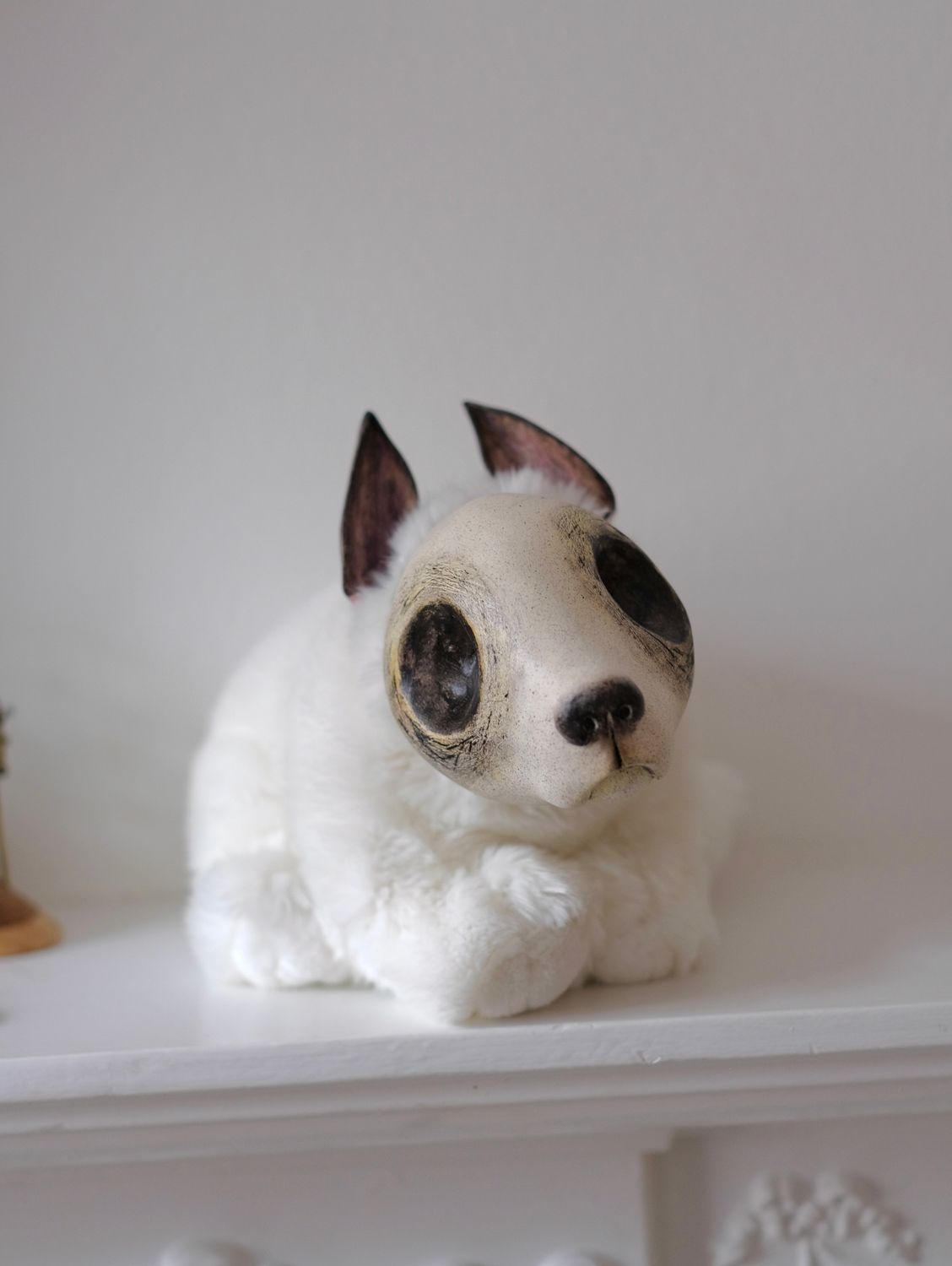 Puppy