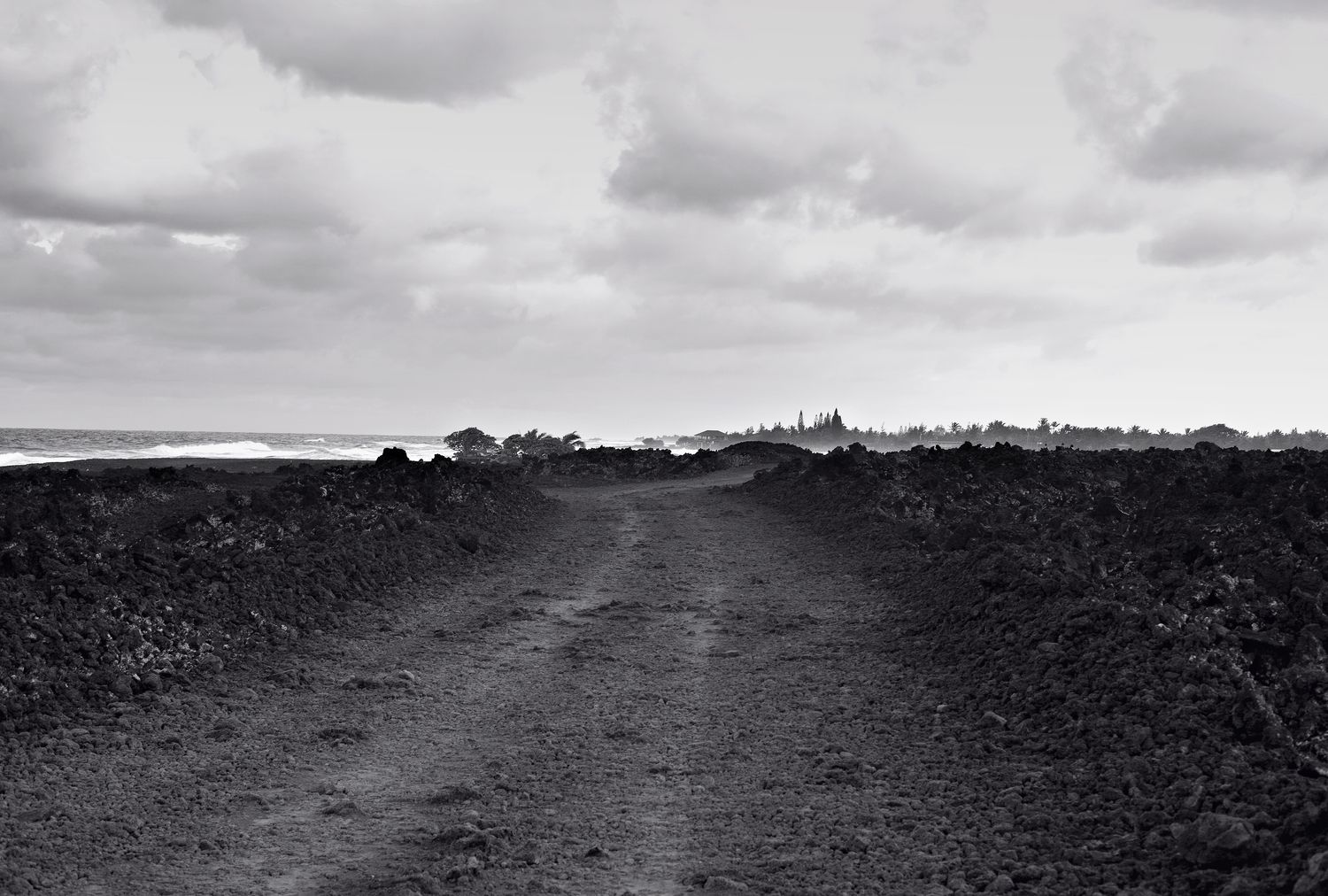 Lava Trail - Puna, HI