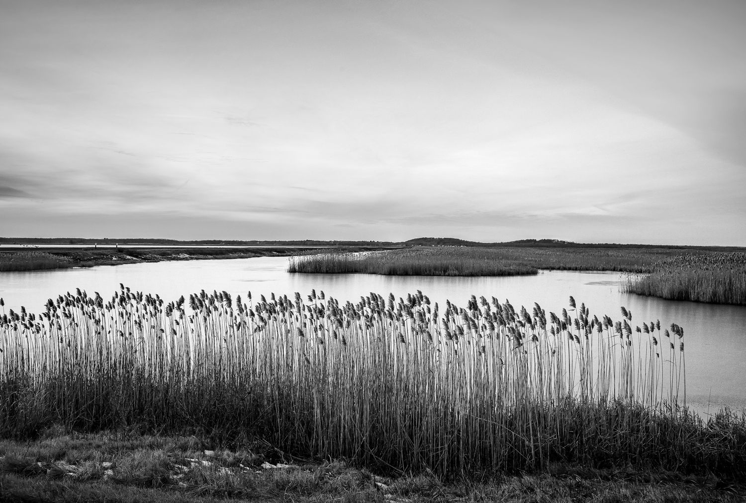 Parker River National Wildlife Refuge Sunset - Newbury, MA