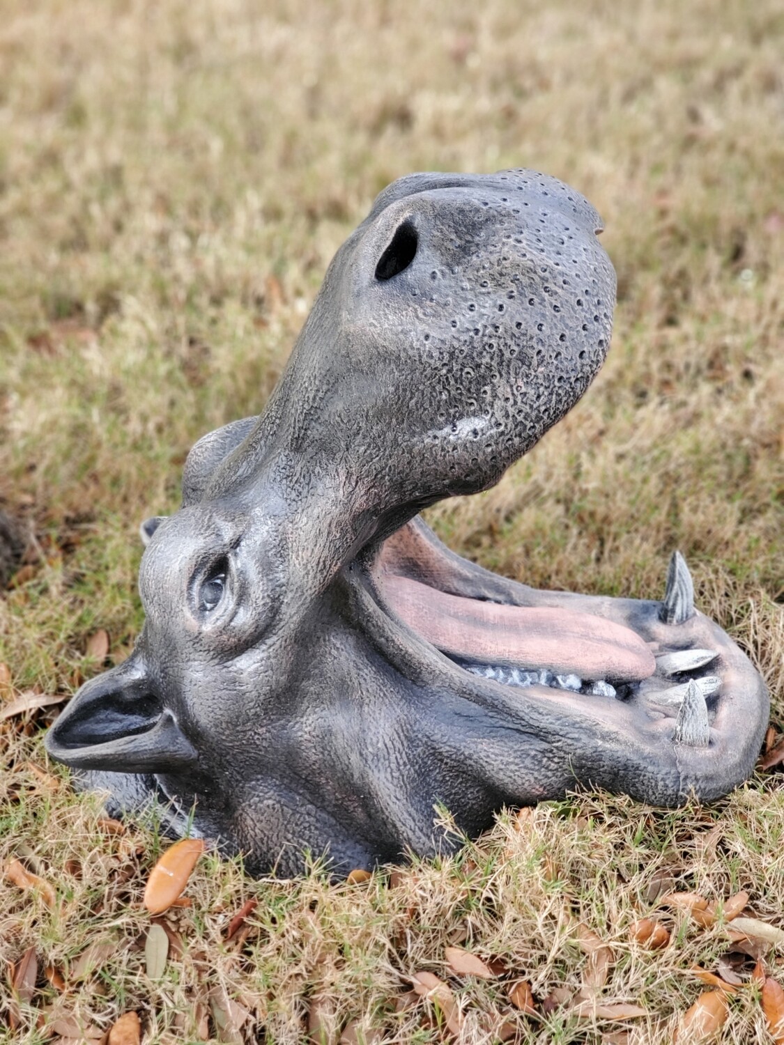 Hungry Hippo Head