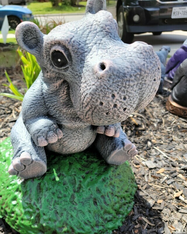 Sitting Adorable Hippo