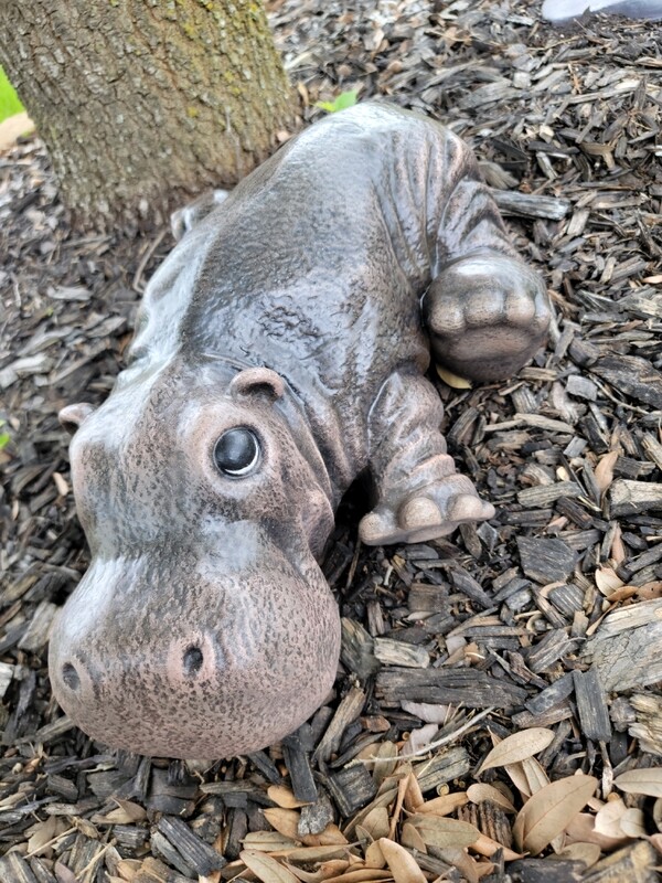 Precious Hippo