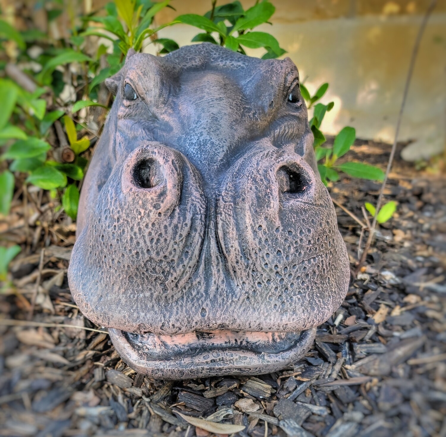 Happy Hippo Head