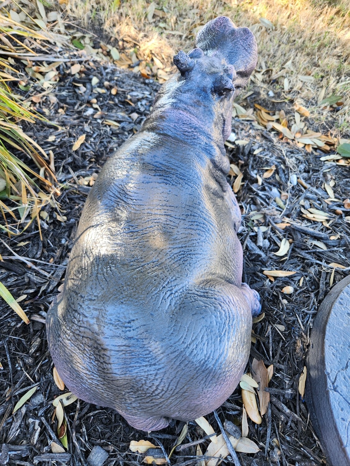 Laying Hippo© (Small)