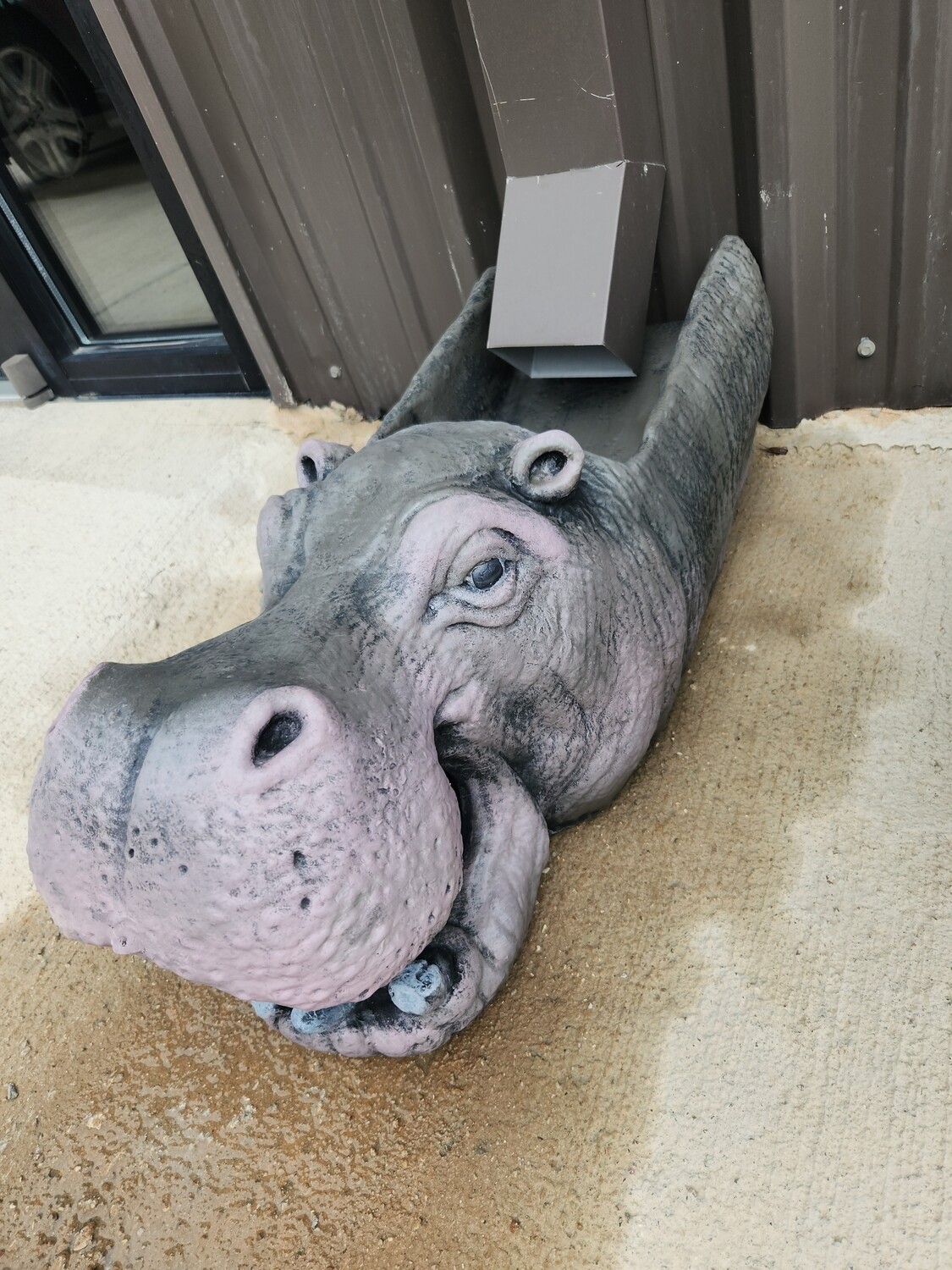 Hippo Downspout Extension