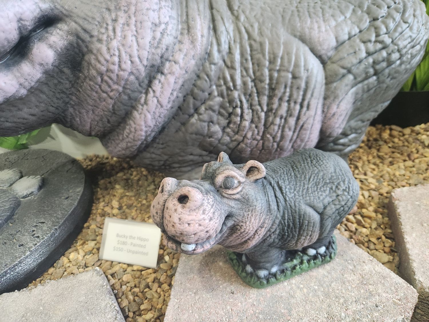 Bucky the Hippo (Small)