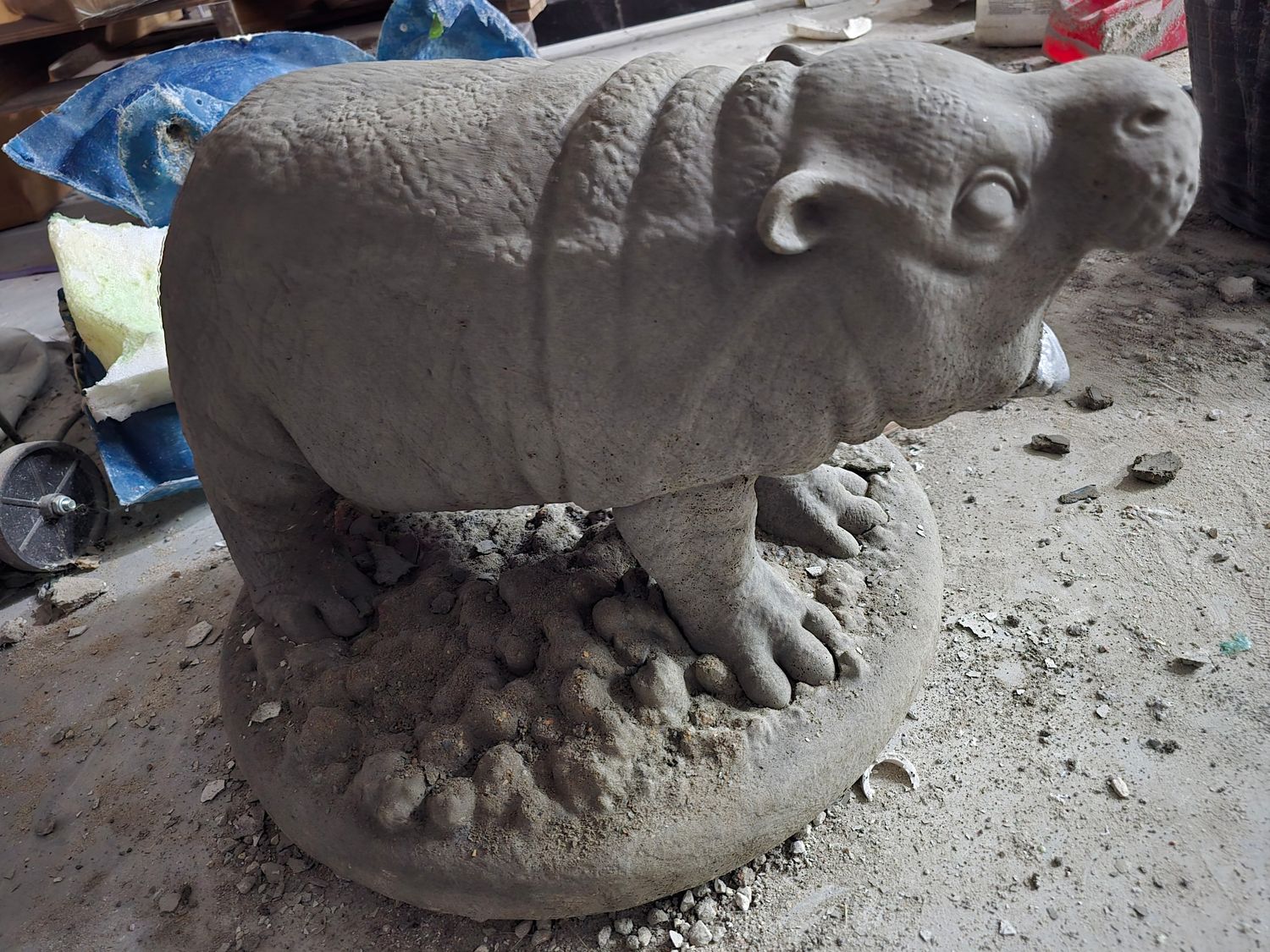 Sassy Pygmy Hippo