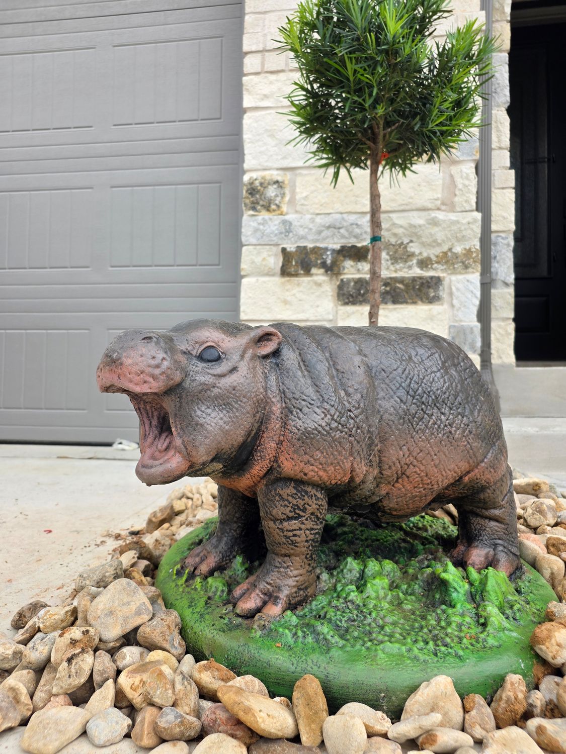 Sassy Pygmy Hippo