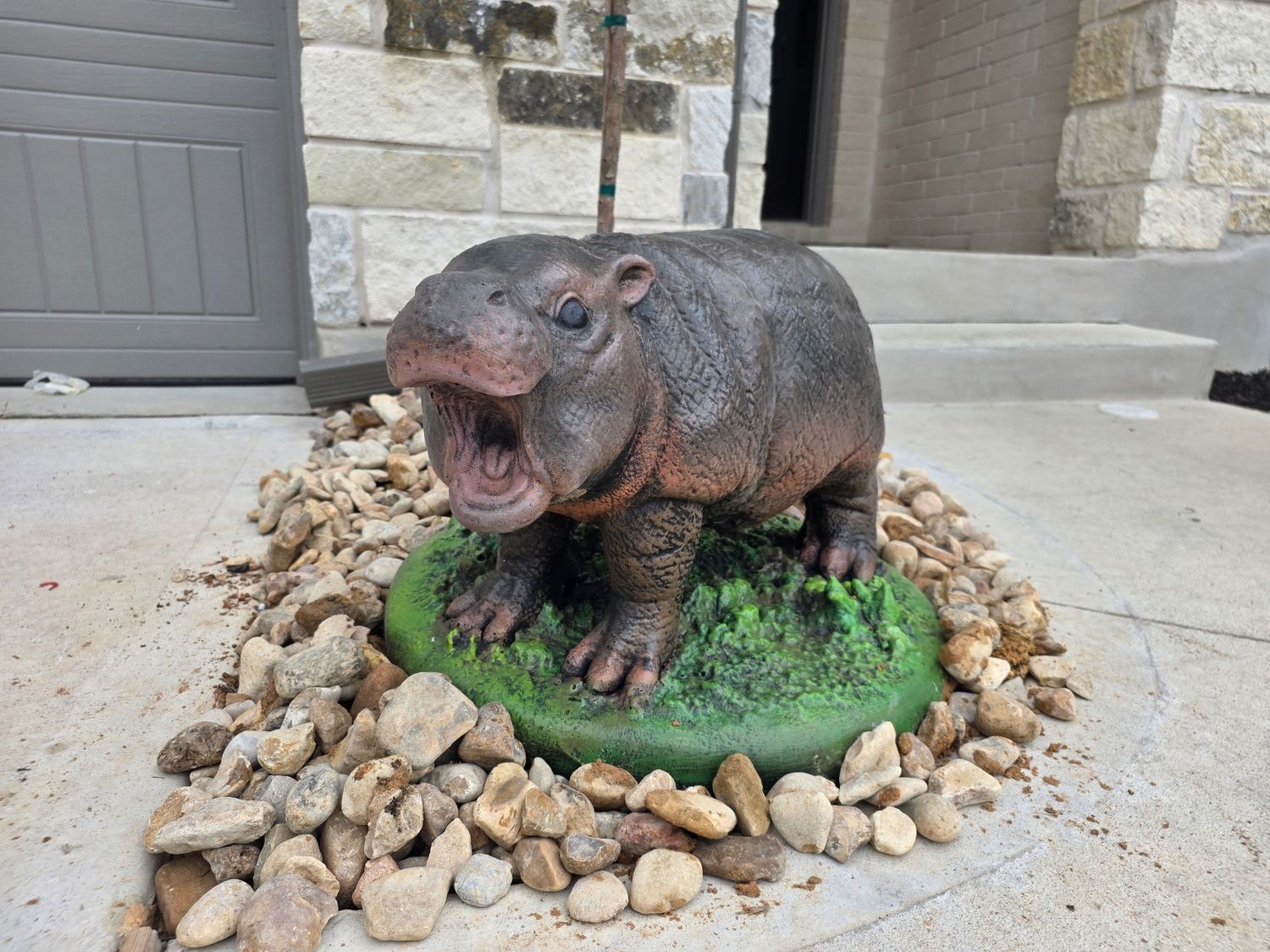 Sassy Pygmy Hippo