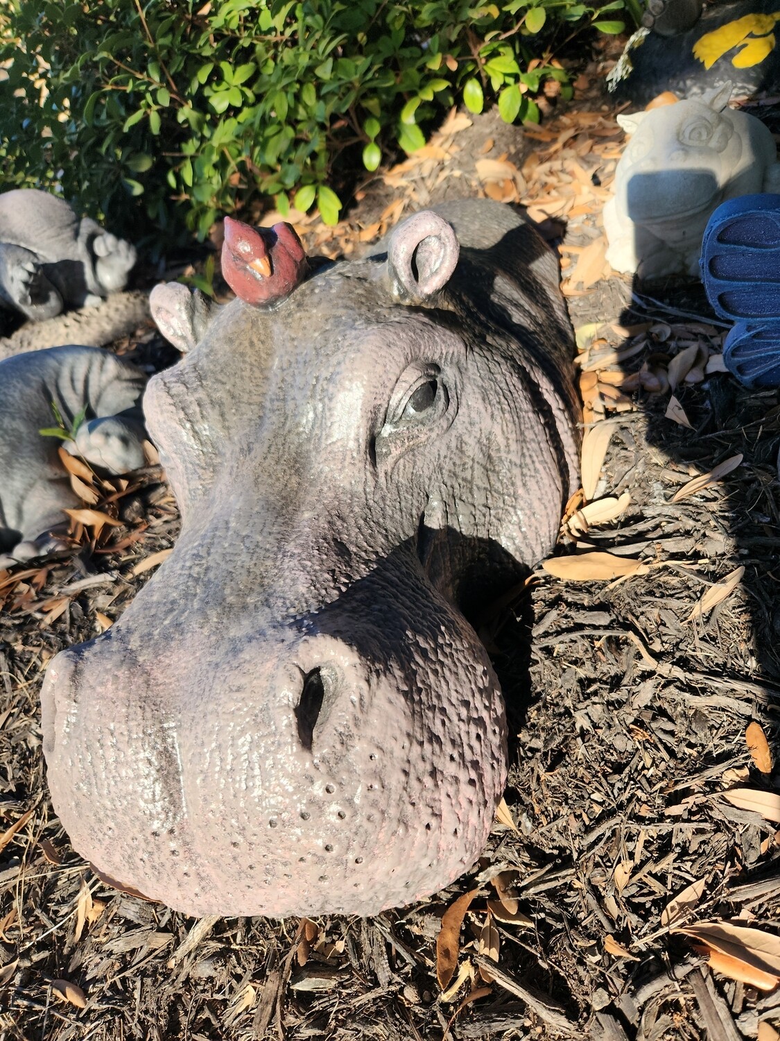 Swimming Hippo Swimming Hippo