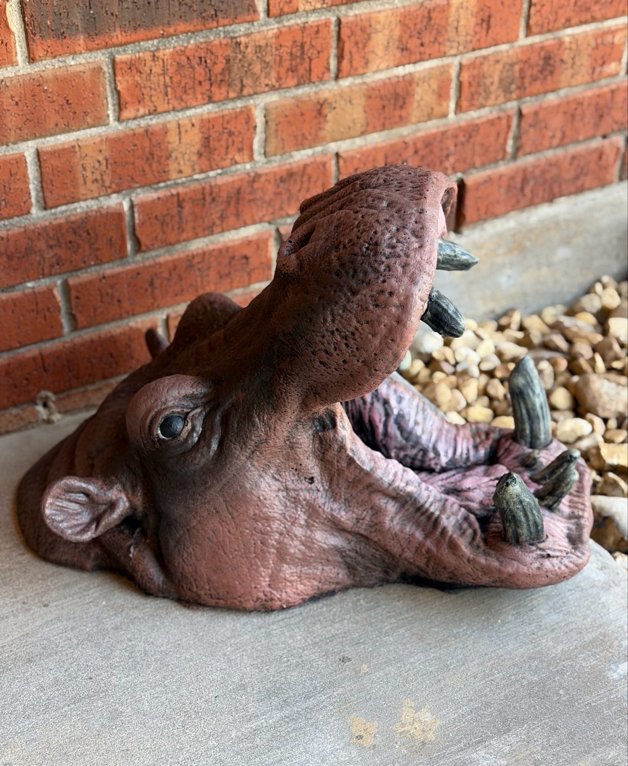 Hungry Hippo Head Hungry Hippo Head
