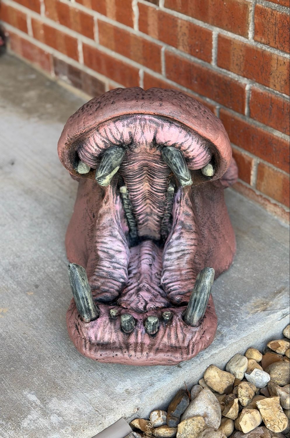 Hungry Hippo Head