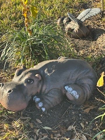 Precious Hippo