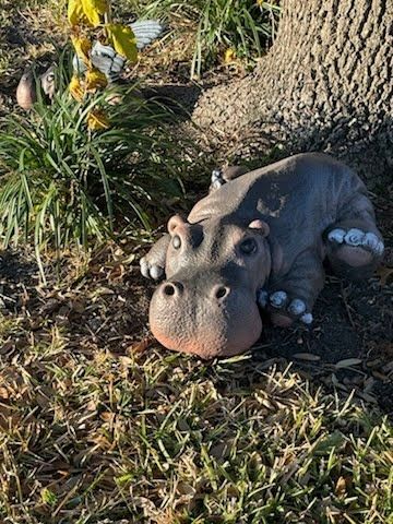 Precious Hippo