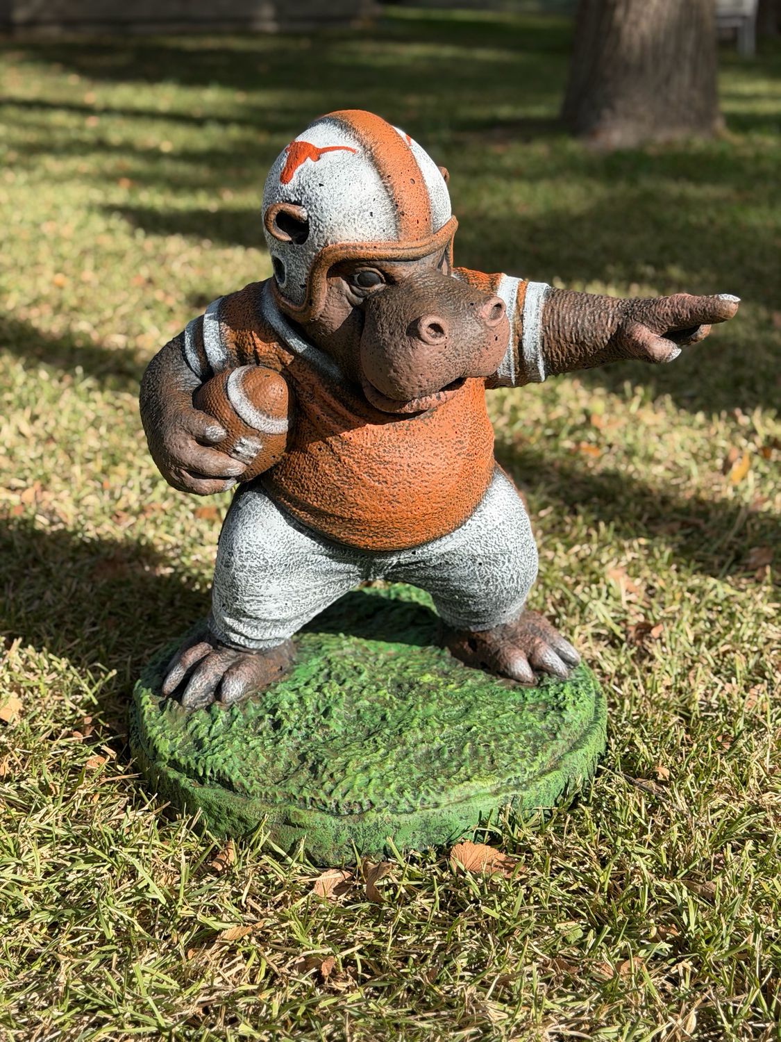 Football Hippo