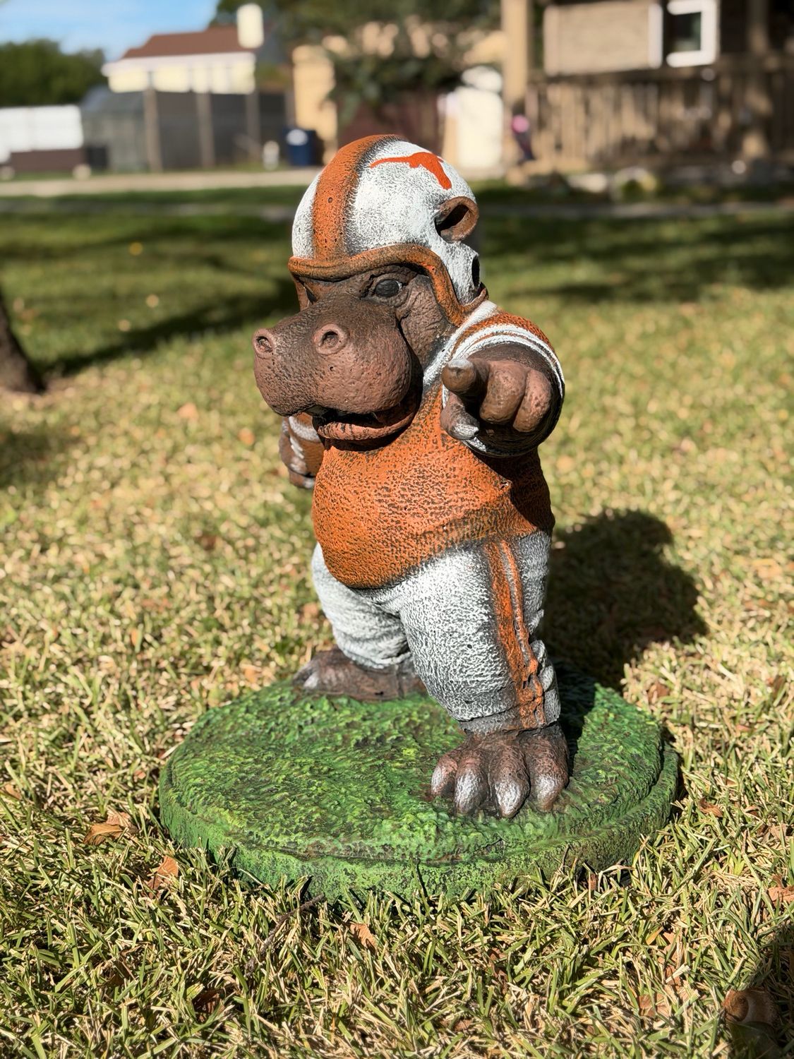 Football Hippo
