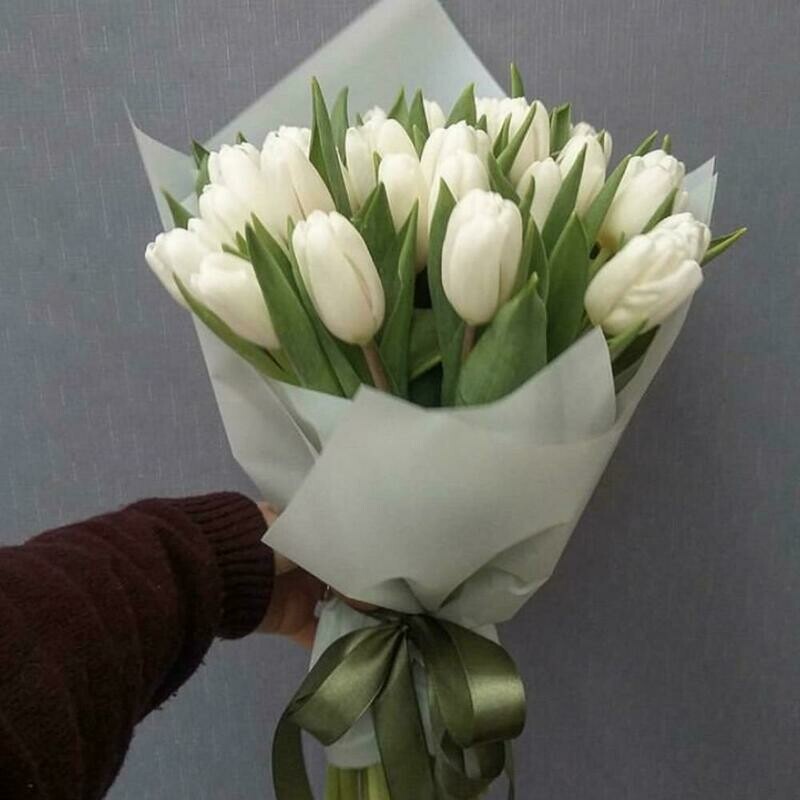 19 белых тюльпанов в стильной упаковке