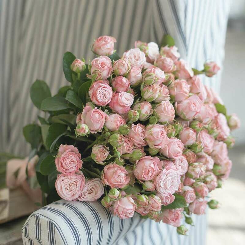 17 кустовых пионовидных нежно-розовых роз
