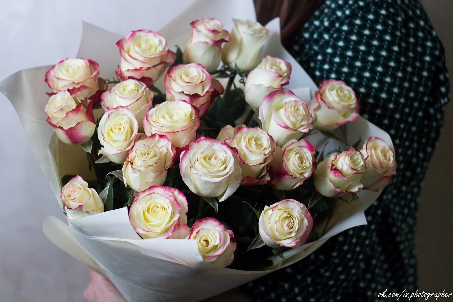 Букет белых роз с красной окантовкой "Cabaret" 25 шт