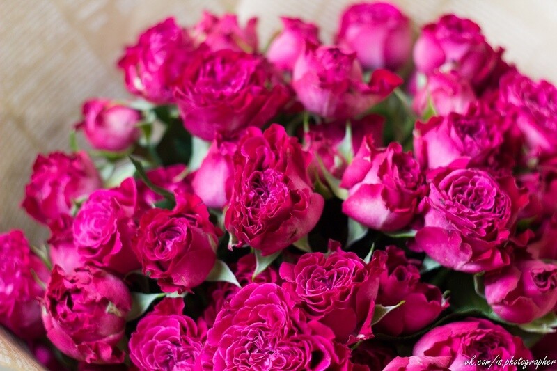 Букет кустовых пионовидных роз  в крафте "Тания Бореалис" 7шт
