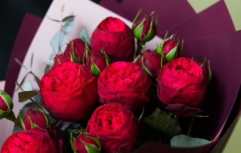 Букет пионовидных красных кустовых роз "Red Piano"7шт