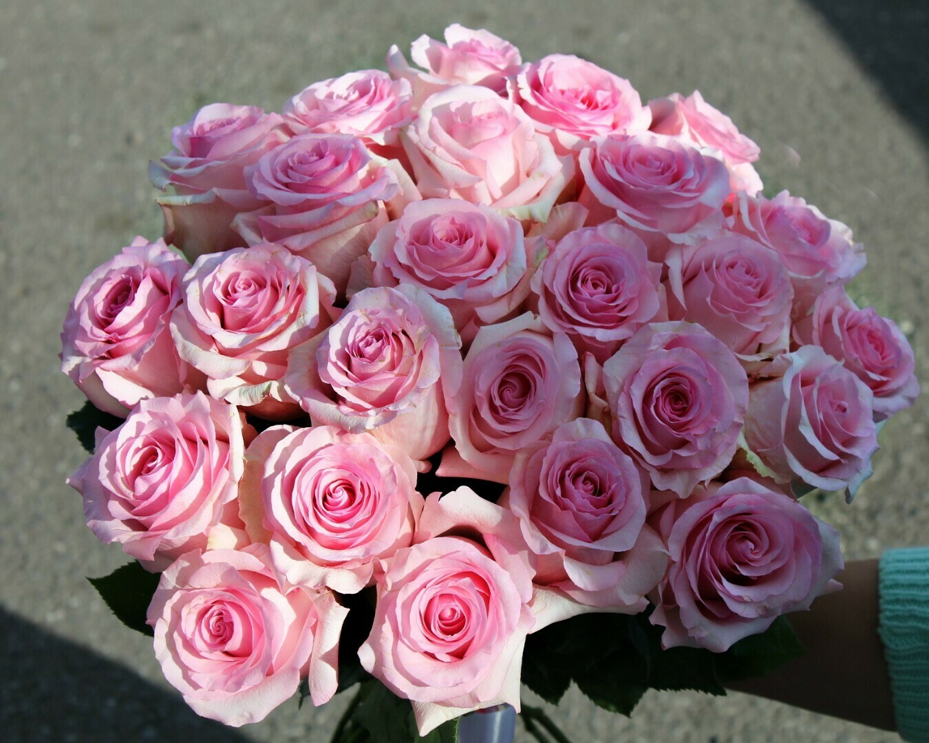 25 нежных роз Эквадор