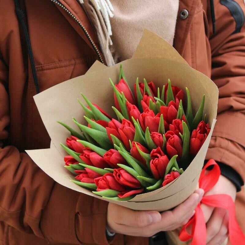 25 красных тюльпанов "Сурендер"