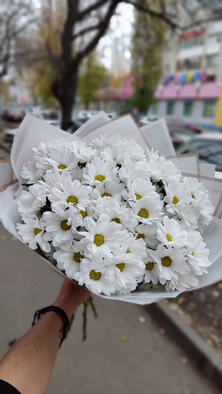 Букет 9 белых хризантем, купить с доставкой от магазина “Цветы Луны”