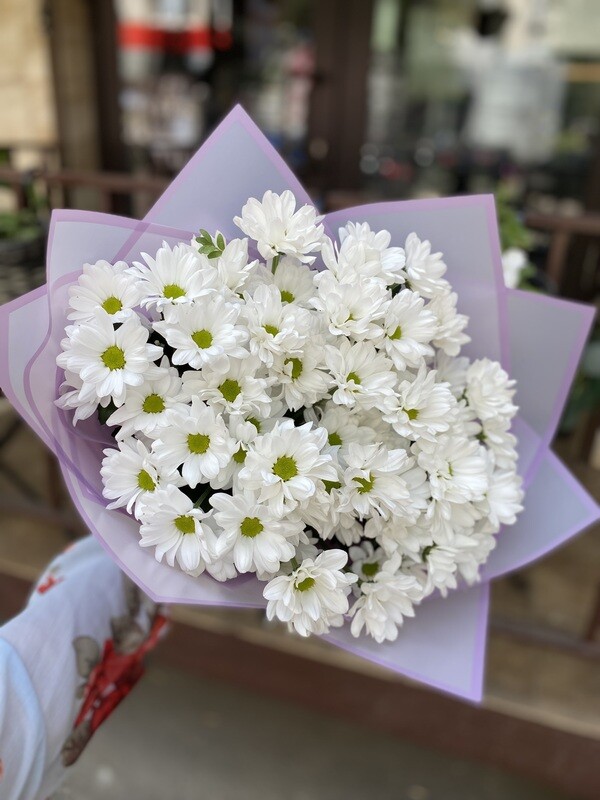“Букет цветов ‘Хризантема’ с доставкой по Саратову: стиль и элегантность в каждом бутоне!”