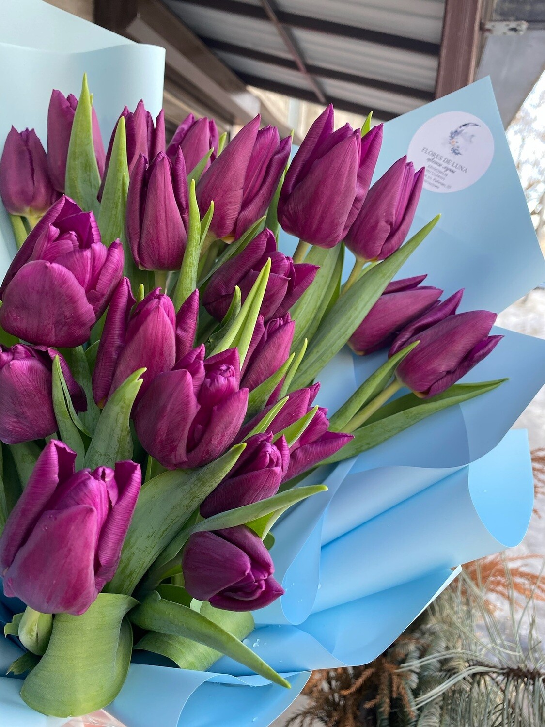 “Букет «25 тюльпанов Озон» с доставкой по Саратову - изысканный и свежий подарок для ваших близких!”