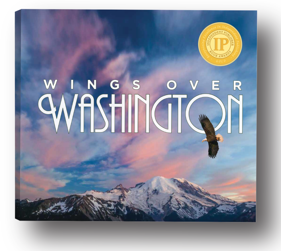 Wings Over Washington