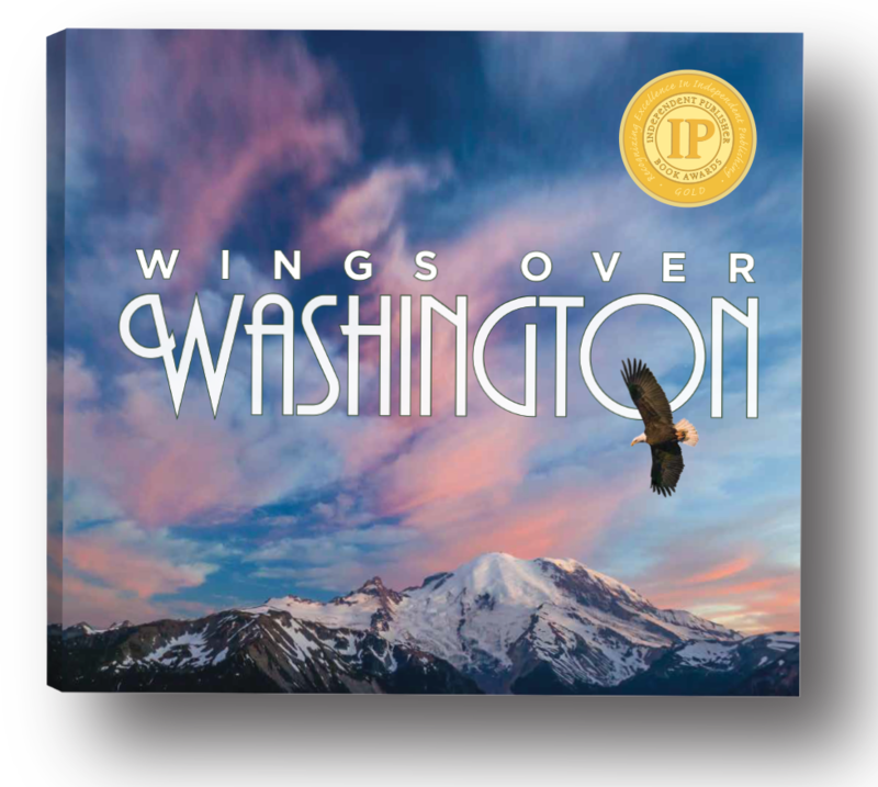 Wings Over Washington
