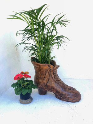Shoe Planter Honey Clay Finish - L560mm x H350mm x W310mm - 17kg