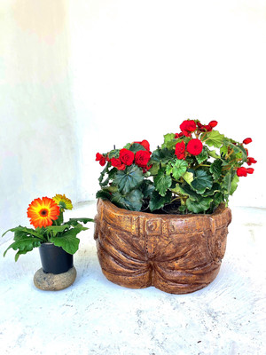 Half Jean Planter Honey Clay Finish - L440mm x W390mm x H250mm - 14kg