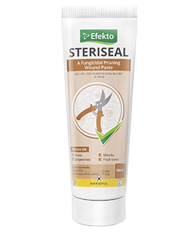 Steriseal 100ml