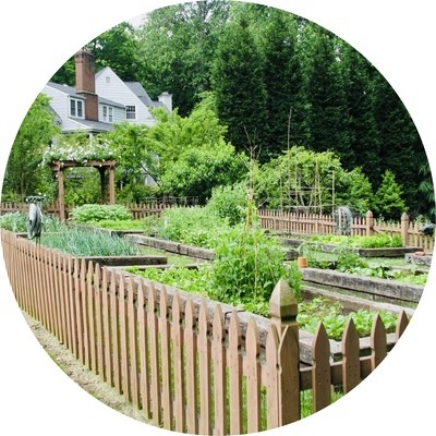 Wooden Picket Fencing and Edging