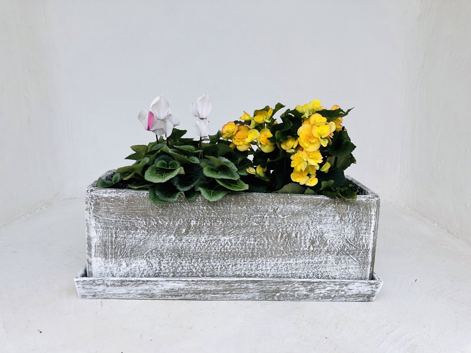 Rectangular Plain Planter Whitewash Finish Excl Tray - L580mm x W200mm x H200mm - 10kg