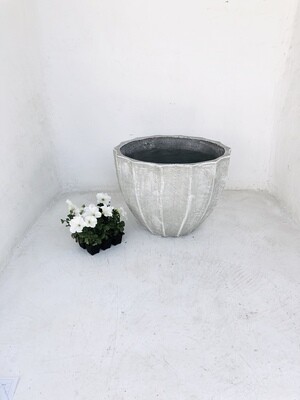 Godiva Pot Medium Whitewash Finish - H320mm x W430mm - 10kg