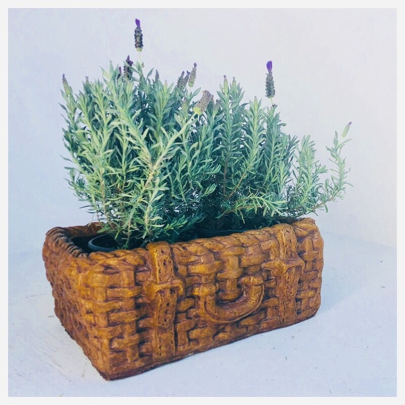 Picnic Basket Small Honeyclay Finish - L430mm x W300mm x H160mm - 12kg