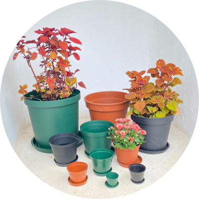 Plastic Planting Pots and Bags