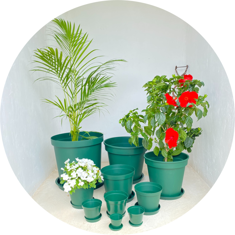 Plastic Plant Pots Green