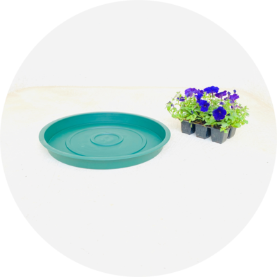 Plastic Plant Pot Saucers Green