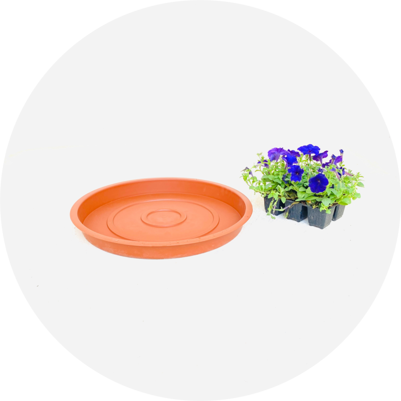 Plastic Plant Pot Saucers Terracotta