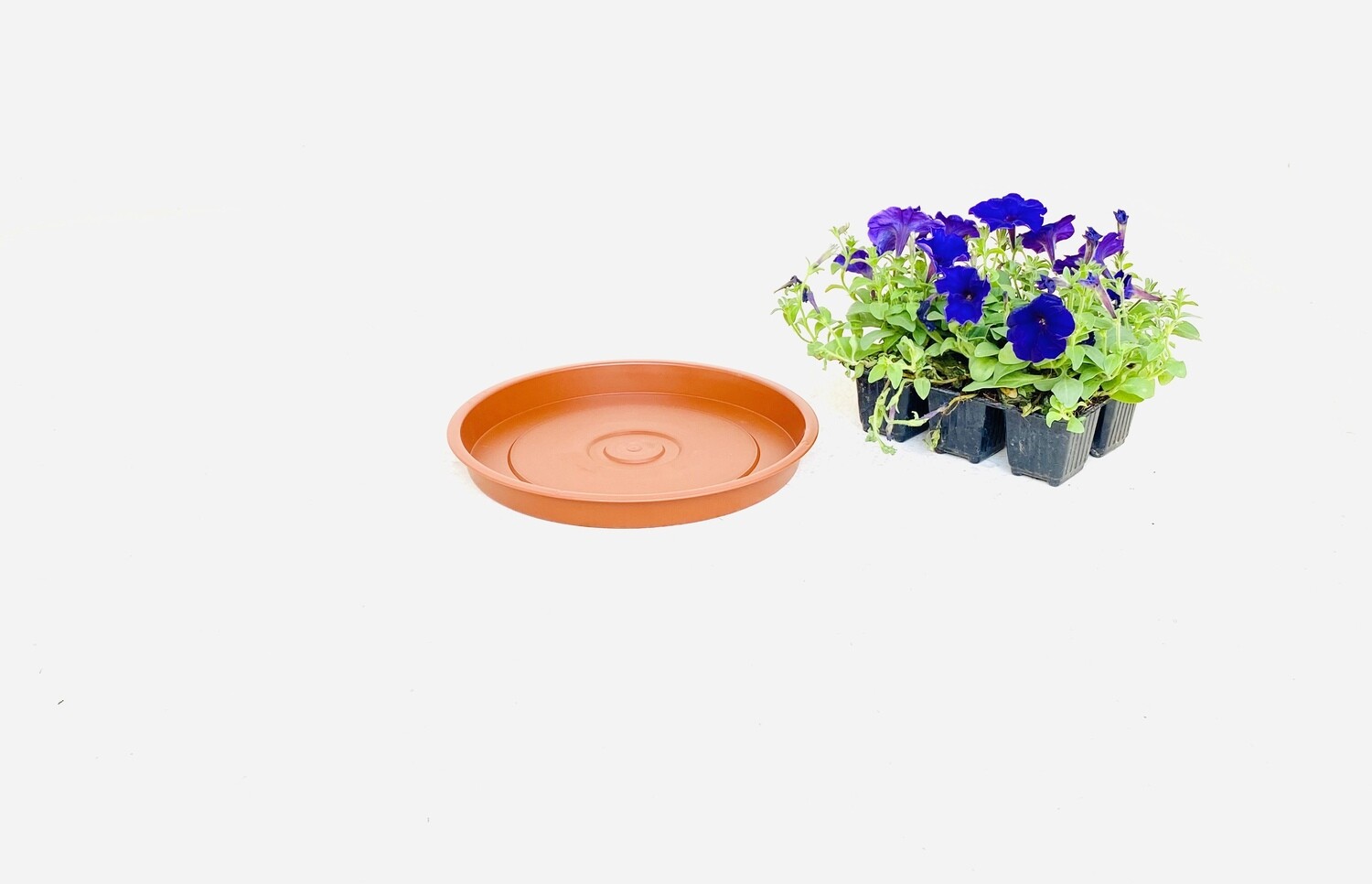 30cm Saucer Terracotta Width 30cm