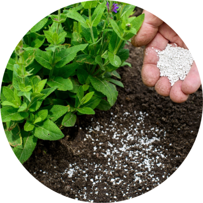 Growing &amp; Caring for your Plants and Lawn