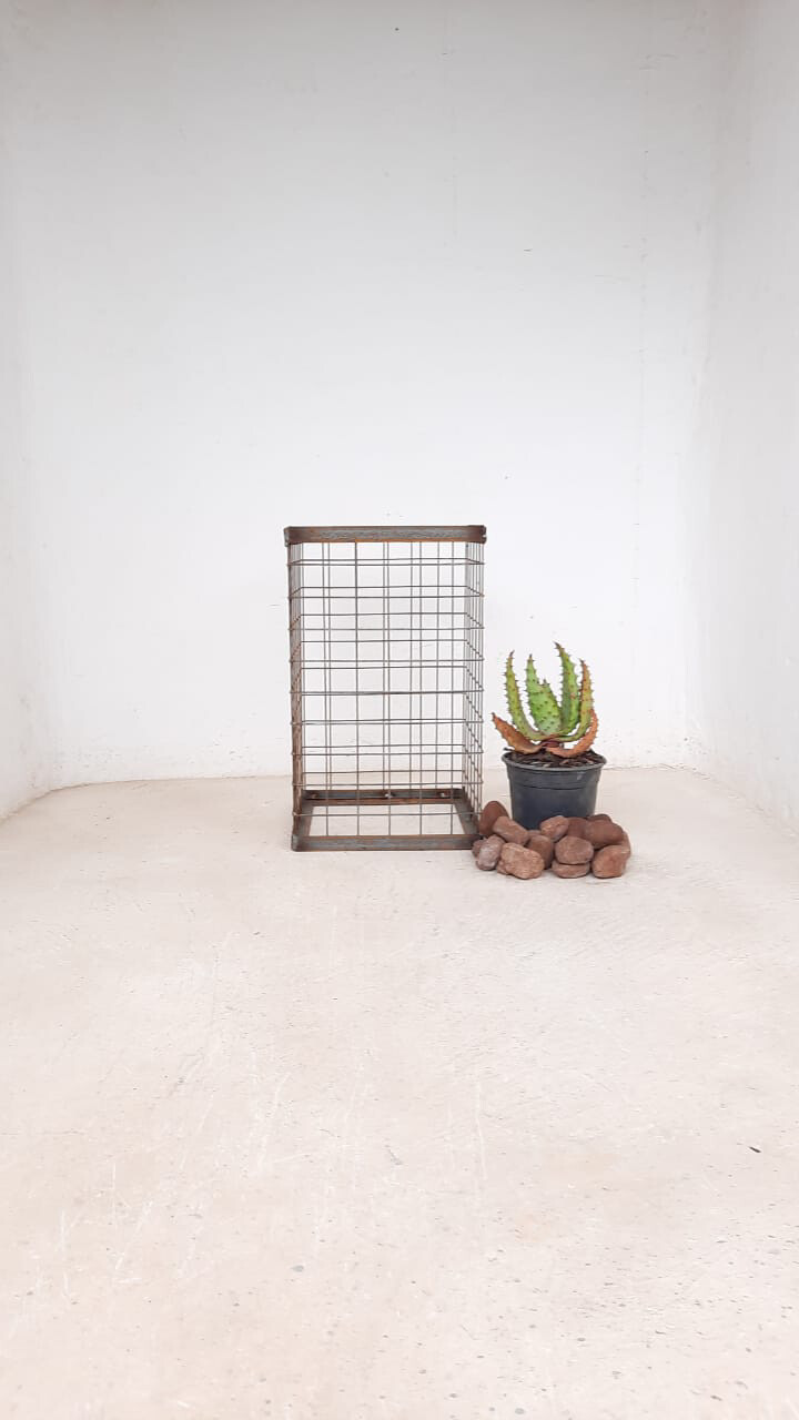 Wire Mesh Rock Planter Small H 500mm W 300mm   (excl rocks and plant)