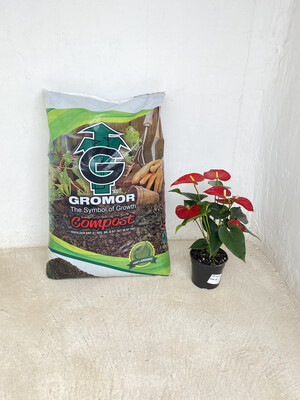 Earth2Earth Compost GROMOR 60 DM3 Large Earth2Earth Compost GROMOR 60 DM3 Large